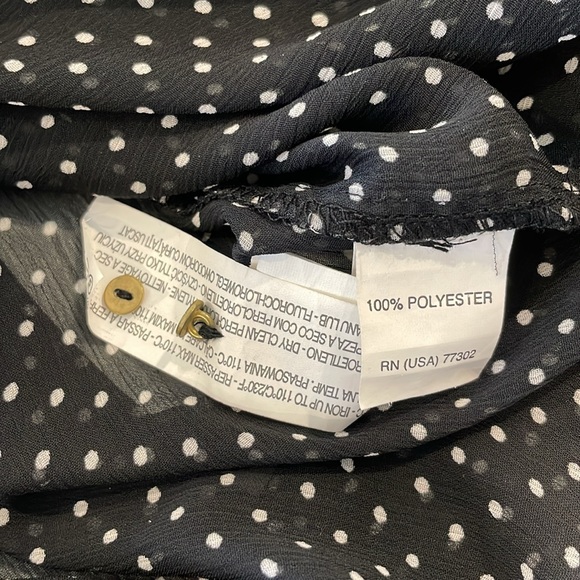 ZARA | Sheer Button Up Blouse - Picture 6 of 6